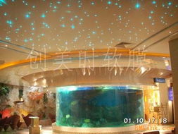 供應(yīng)衡水透光膜 邢臺透光膜 邯鄲透光膜